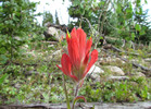 photo thumbnail #3