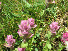 photo thumbnail #10