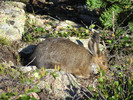photo thumbnail #2