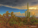 photo thumbnail #3