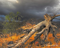 photo thumbnail #7