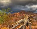 photo thumbnail #8