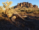 photo thumbnail #3