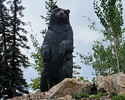 photo thumbnail #15