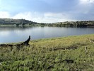 photo thumbnail #9