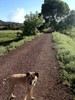 photo thumbnail #11