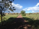 photo thumbnail #12