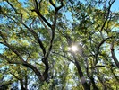 photo thumbnail #13