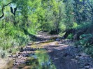 photo thumbnail #14