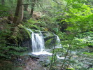 photo thumbnail #3