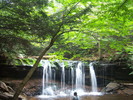 photo thumbnail #5