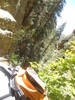 photo thumbnail #13