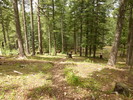 photo thumbnail #2