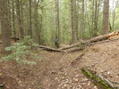photo thumbnail #8