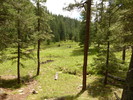 photo thumbnail #10