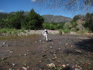 photo thumbnail #3