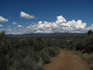photo thumbnail #15