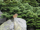 photo thumbnail #2