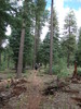 photo thumbnail #2