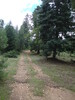 photo thumbnail #3