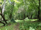 photo thumbnail #5