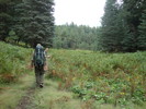 photo thumbnail #6