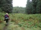 photo thumbnail #7