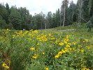 photo thumbnail #8