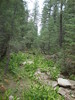 photo thumbnail #12