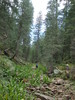 photo thumbnail #14