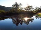 photo thumbnail #13