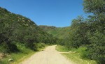 photo thumbnail #15