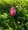 photo thumbnail #9