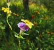 photo thumbnail #13