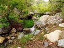 photo thumbnail #6