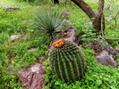 photo thumbnail #12