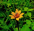 photo thumbnail #13