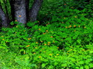 photo thumbnail #15