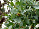 Featured Detail Photo