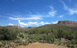 photo thumbnail #8