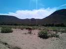 photo thumbnail #4