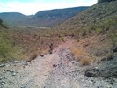photo thumbnail #14