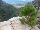photo thumbnail #12