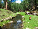 photo thumbnail #6