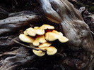 photo thumbnail #8