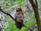 photo thumbnail #9