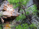 photo thumbnail #11
