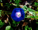 photo thumbnail #5