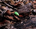 photo thumbnail #9