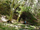 photo thumbnail #13